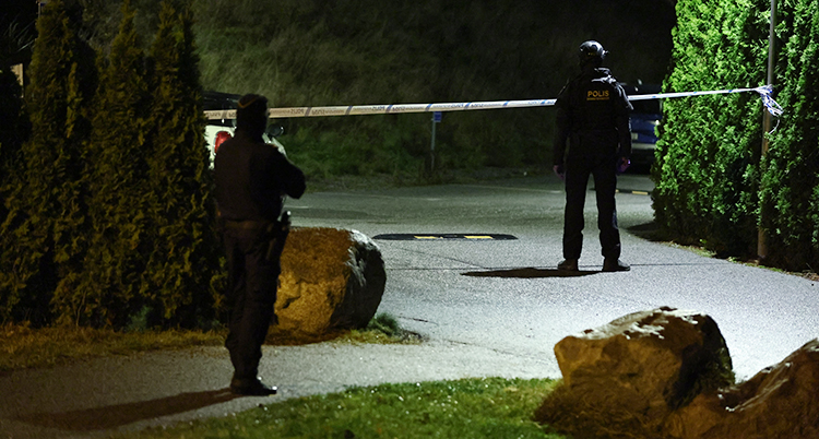 Det är mörkt ute. Två poliser står vid några buskar i ett område med radhus.