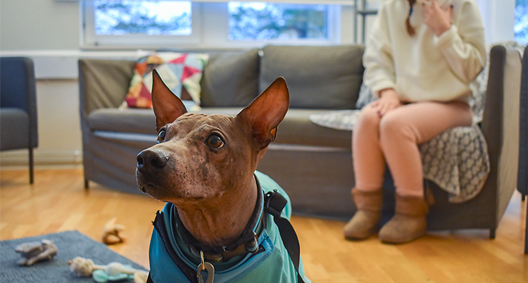 Han sitter nära kameran. I soffan bakom sitter en person.