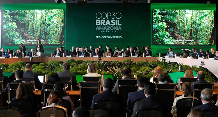 Många sitter i en stor sal. De har ett möte.