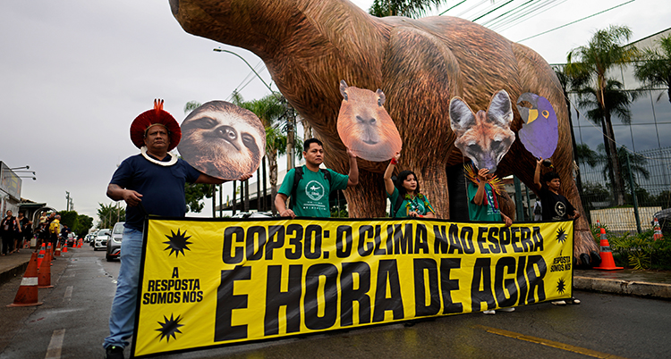 Brazil Climate COP30