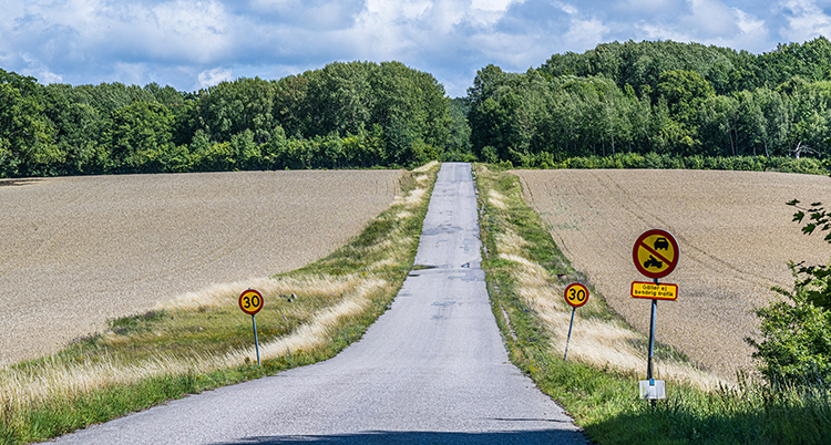 En väg nära den skog där en av pojkarna hittades.