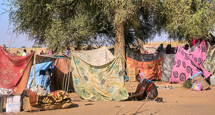 En person sitter utanför sitt tält. Flera tält står på sanden. Bakom finns träd.
