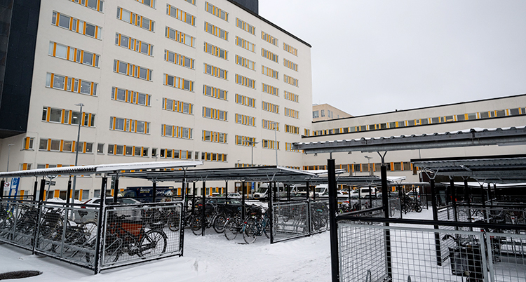 Ett väldigt stort hus. Det är sjukhuset i Uppsala. Utanför står massor av cyklar parkerade.