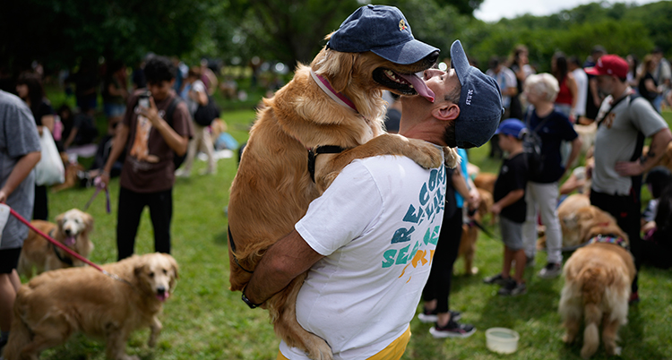 Hunden är i famnen på en man. Hunden har keps. Hunden pussar personen.