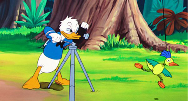 En bild på Kalle Anka.