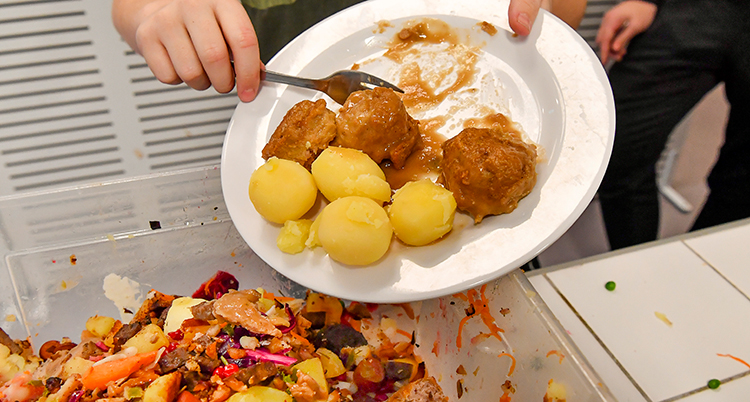 Någon skrapar mat från en tallrik till en soplåda.