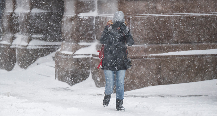 En kvinna går på en snöig gata. Hon håller vantarna för ansiktet.
