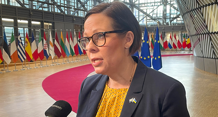 Hon pratar i en mikrofon. Bakom syns flaggor från EUs länder.