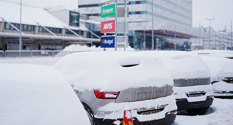 Bilar står parkerade. Det har fallit massor med snö på dem.