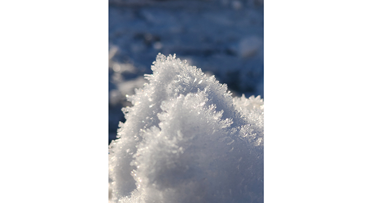 Mathiazhagan Dinesh1