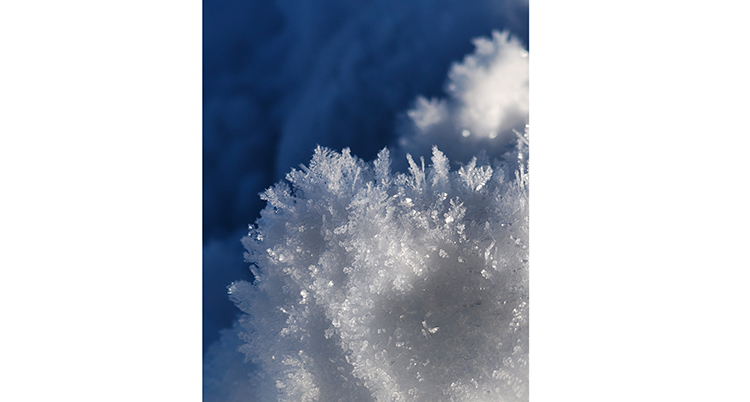 Mathiazhagan Dinesh2