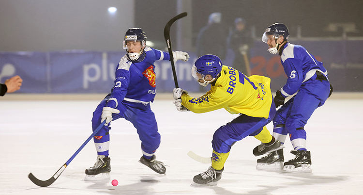 Finland Bandy
