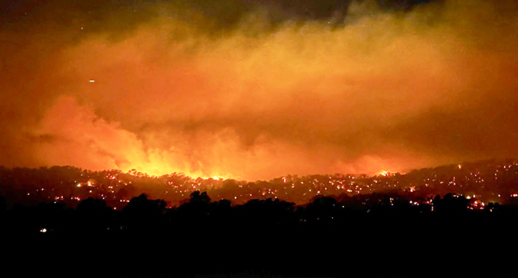 Eld syns över skogen och himlen.