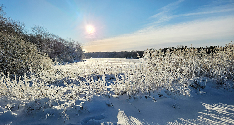 Det är blå himmel. Solen skiner över ett vinterlandskap med snö.