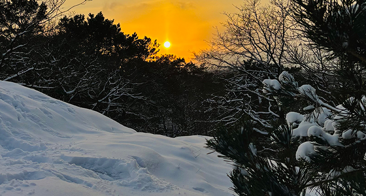 En gul himmel ovanför snö.