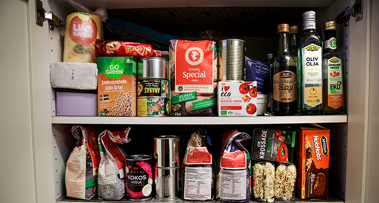 BASFÖRRÅD MED MAT HEMMA