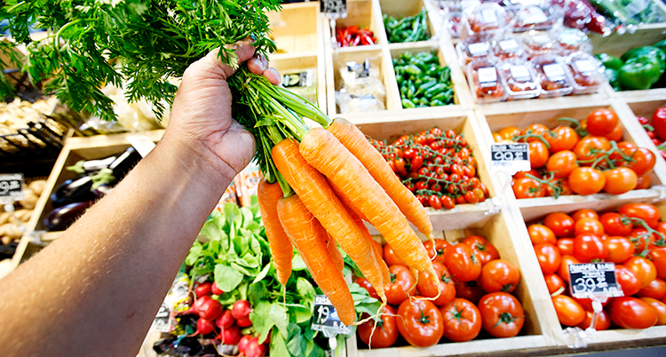 En hand som håller i ett knippe morötter. I bakgrunden är en disk med grönsaker.