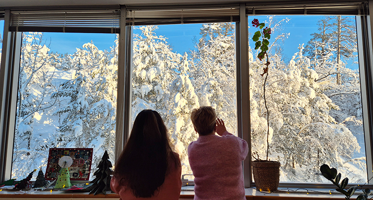 Två personer står vid ett fönster. Vi ser dem bakifrån. Utanför är det träd fulla med snö. Blå himmel.
