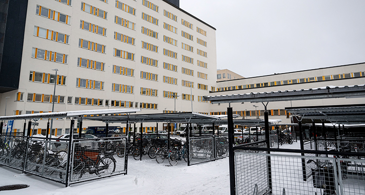 Ett stort hus, ett sjukhus.