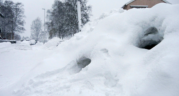 En hög med snö och hål i snön, en grotta.