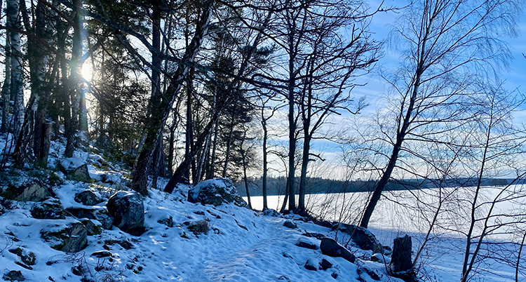 Snö på marken och på en sjö. Solen lyser genom träden. Himlen är blå.