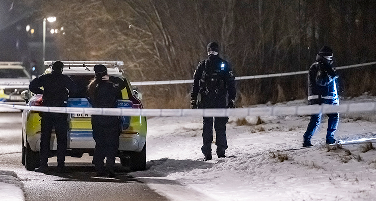 Det är mörkt ute. Fyra poliser står vid en polisbil.