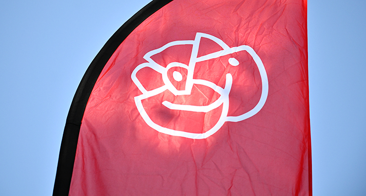 Socialdemokraternas symbol är en röd ros.