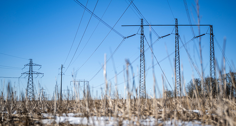 Ledningar för el ute i naturen.