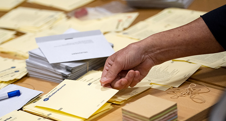 En person som sitter och räknar röster, valsedlar.