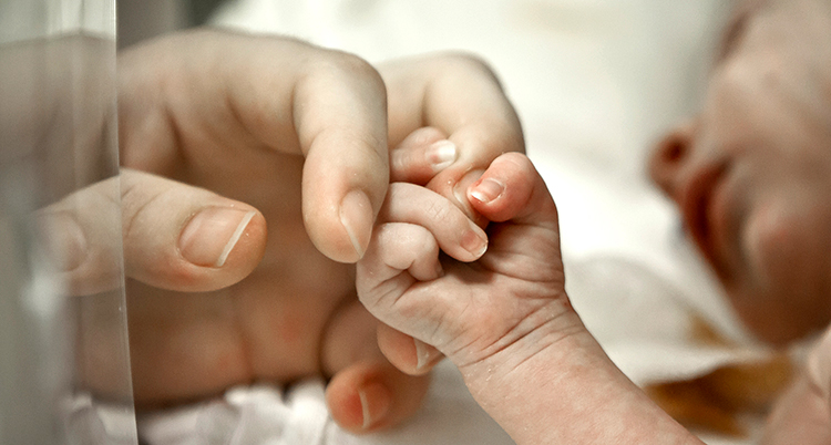 En bebis håller i en vuxen hand.