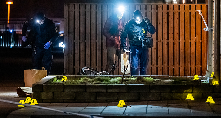 De letar efter bevis på marken.