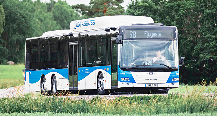 Bussen kör längs en väg.