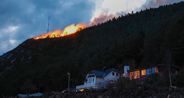 Elden sprider sig i skogen bakom ett hus.