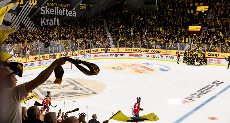 Från en arena för ishockey. Laget firar på isen. Publiken firar på läktaren.