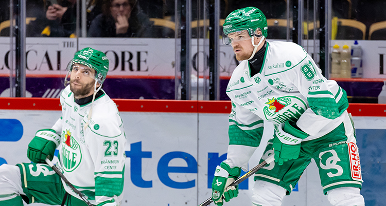 Två spelare på isen.