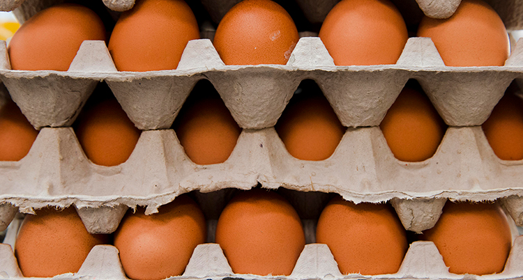 Bruna ägg i en kartong.