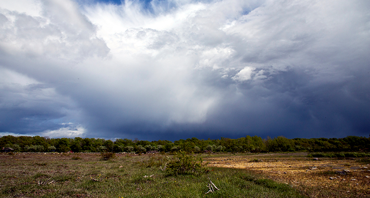 Natur med platt mark, torrt gräs och en himmel med många moln.
