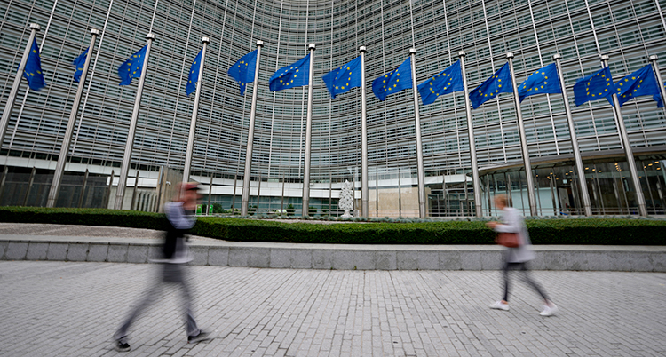 Ett väldigt stort hus med flera flaggstänger framför.