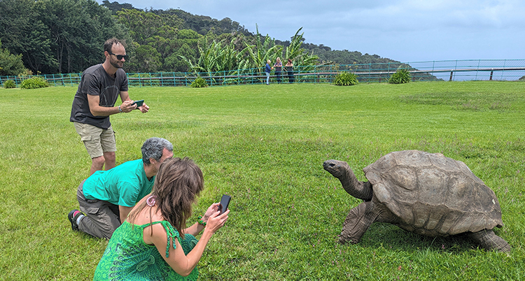Tre personer med kameror är på gräsmattan intill en stor sköldpadda. Havet syns i bakgrunden.