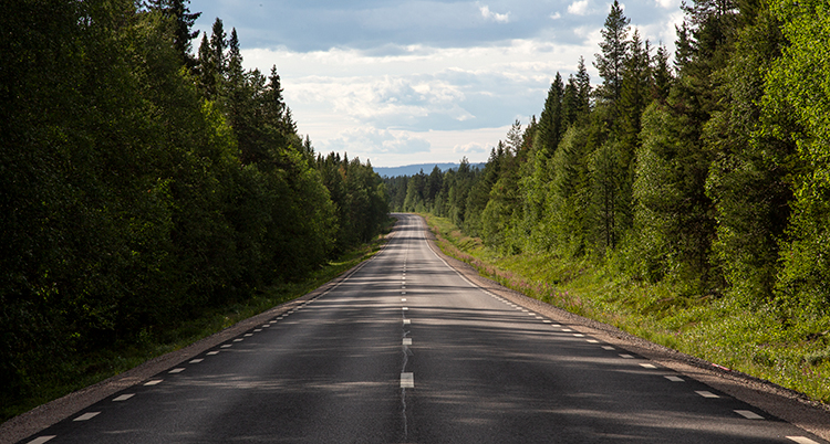 En väg går genom skogen.