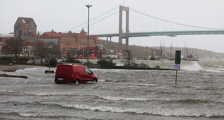 En bil står i vatten på en kaj. En stor bro syns i bakgrunden.