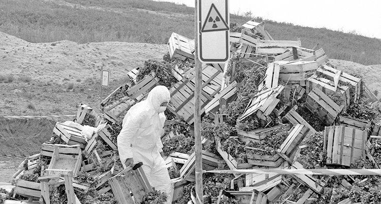 Eawatchf AP I FILE DEU APHS Chernobyl Effects Vegetable Disposal In