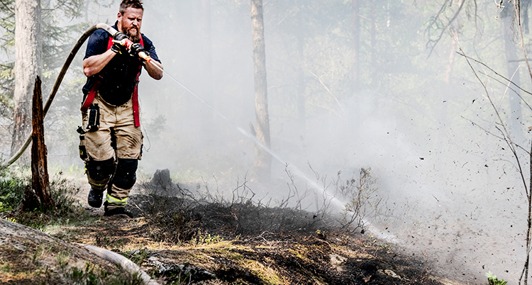 En brandman sprutar vatten på en brand i skogen.