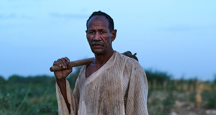 SUDAN PLANTING SEASON