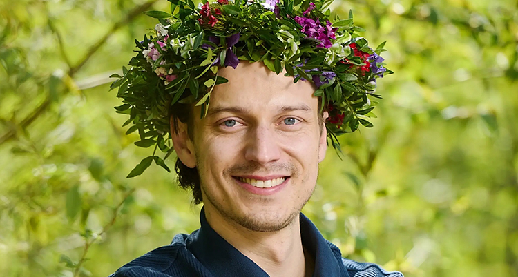 hansius sommar