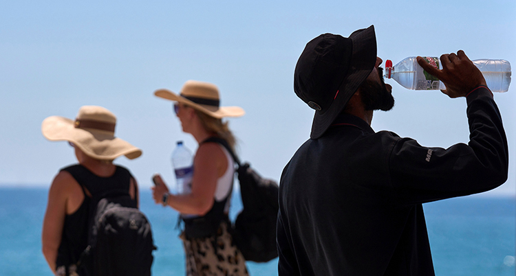 Climate Europe Heat Deaths