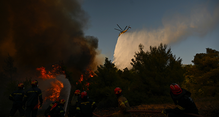 En helikopter flyger i luften och släpper vatten på elden. Brandmän släcker på marken.