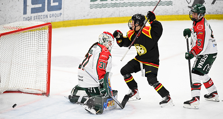 Från en match i ishockey mellan Brynäs och Frölunda.