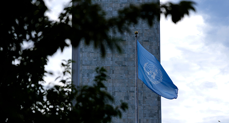 UN General Assembly