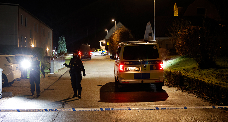 Det är höst. Det är mörkt. Två poliser går med ficklampor i ett område med hus.